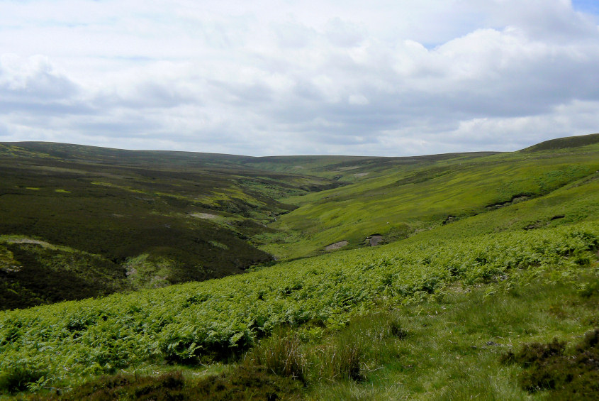 Laund Clough Laund Clough
